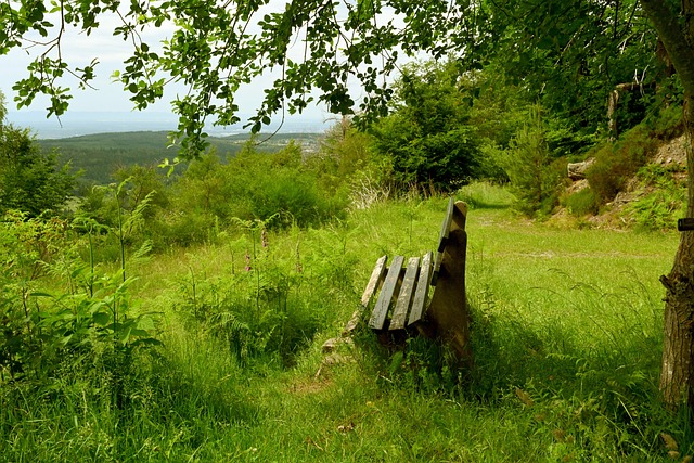 自己制定了 自己制定了