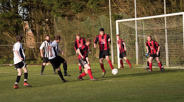 质疑和批评 质疑和批评