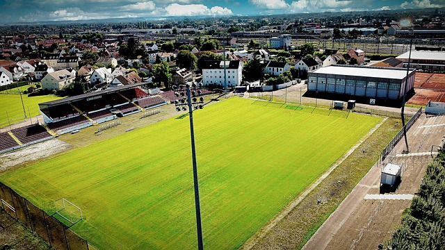 2022世界杯荷蘭簡介.