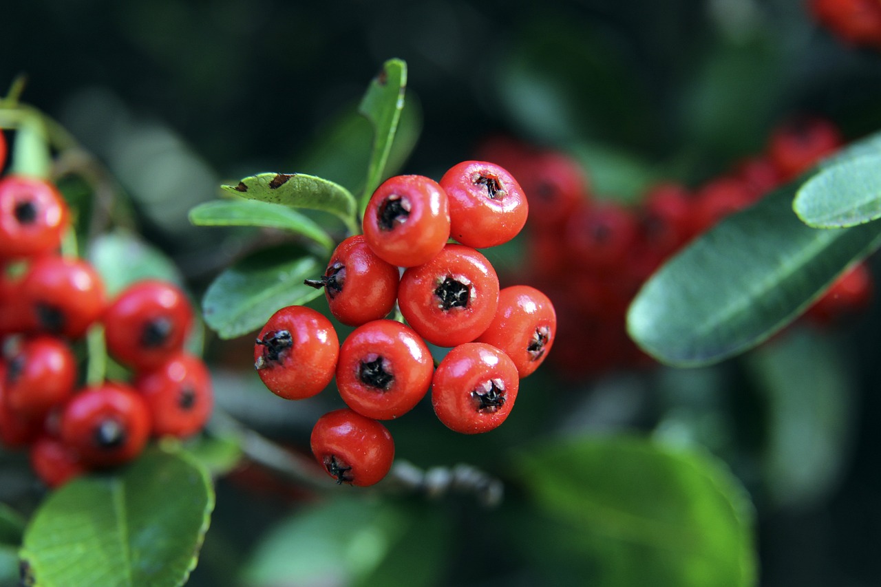 塔奇纳迪：尤文处在严重的危机中，一些球员会被弃用.